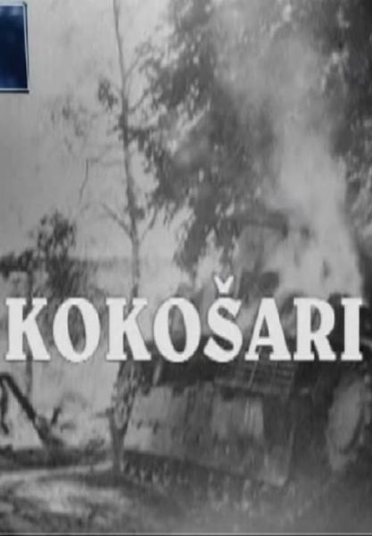 Kokošari