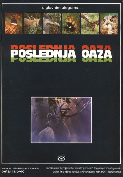 Poslednja oaza