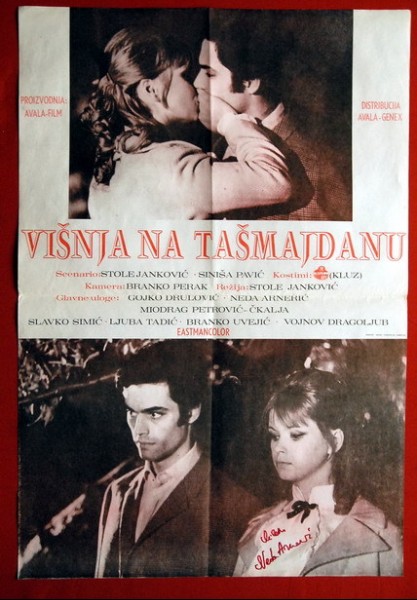 Visnja na Tasmajdanu