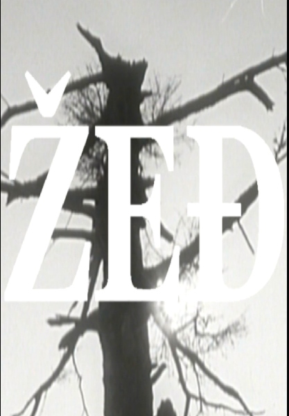 Zedj